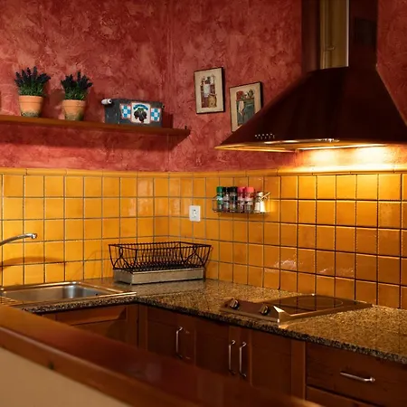 Apartament Cadi- Moixero * Baga